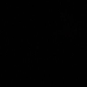 Meet your Posher, Ty